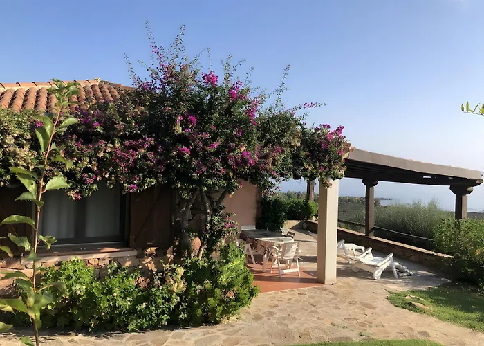 Oleandro Vista Mare