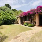 Oleandro Vista Mare