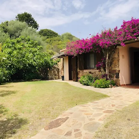 Oleandro Vista Mare سان تيودورو