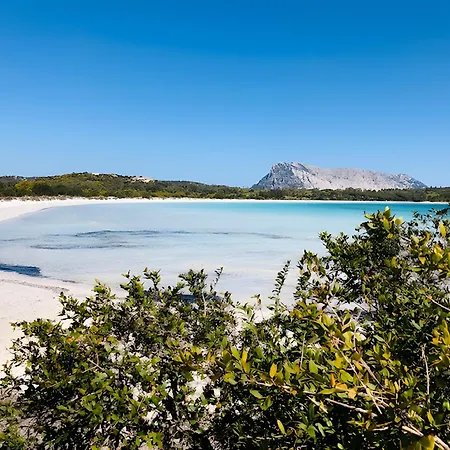 Oleandro Vista Mare *
