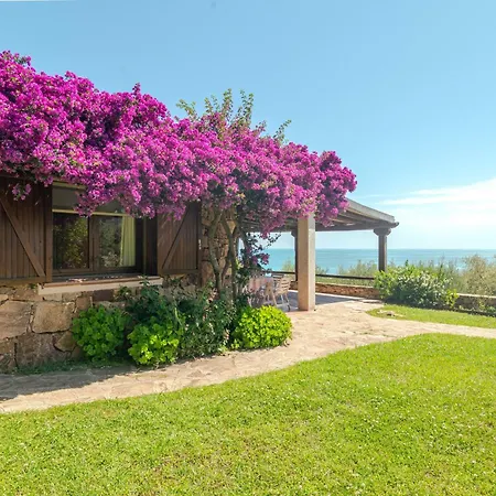 Oleandro Vista Mare