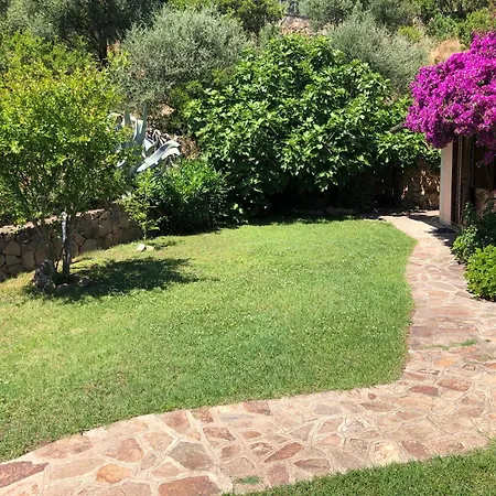Oleandro Vista Mare