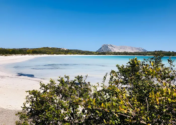 Oleandro Vista Mare *